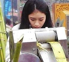 甘蔗娱乐,解锁快乐生活新方式